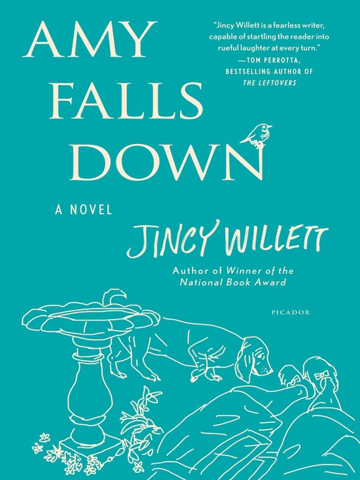 Title details for Amy Falls Down by Jincy Willett - Wait list